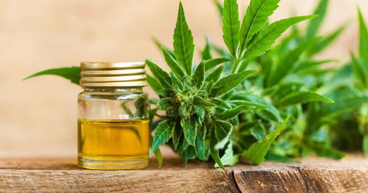 hemp-cbd-oil-shutterstock.jpg