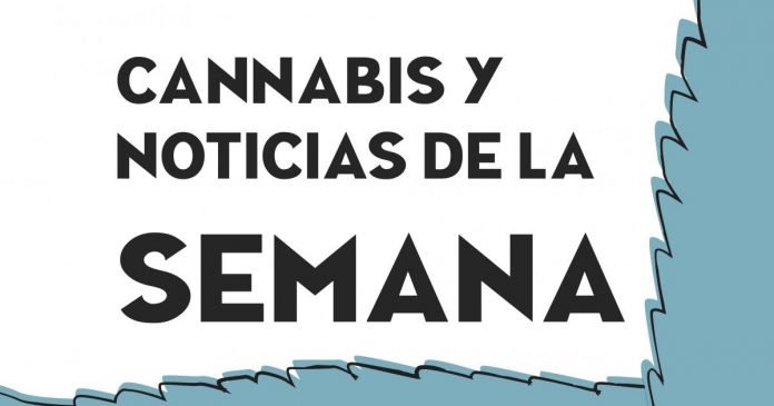 the_week_in_cannabis_el_planteo-02_1.jpg