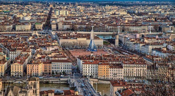 Professionnels à Lyon : pourquoi louer votre local d’activité ?