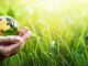 Les goodies écoresponsables pour véhiculer une image verte goodies ecoresponsables