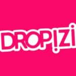 Pourquoi choisir Dropizi pour le dropshipping ? Dropizi