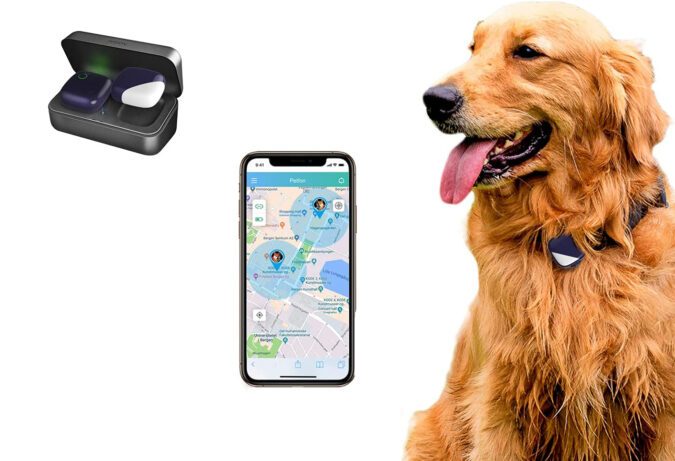 collier GPS pas cher pour chien de chasse