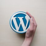 Quel plugin affiliation utiliser sur WordPress ? logo wordpress